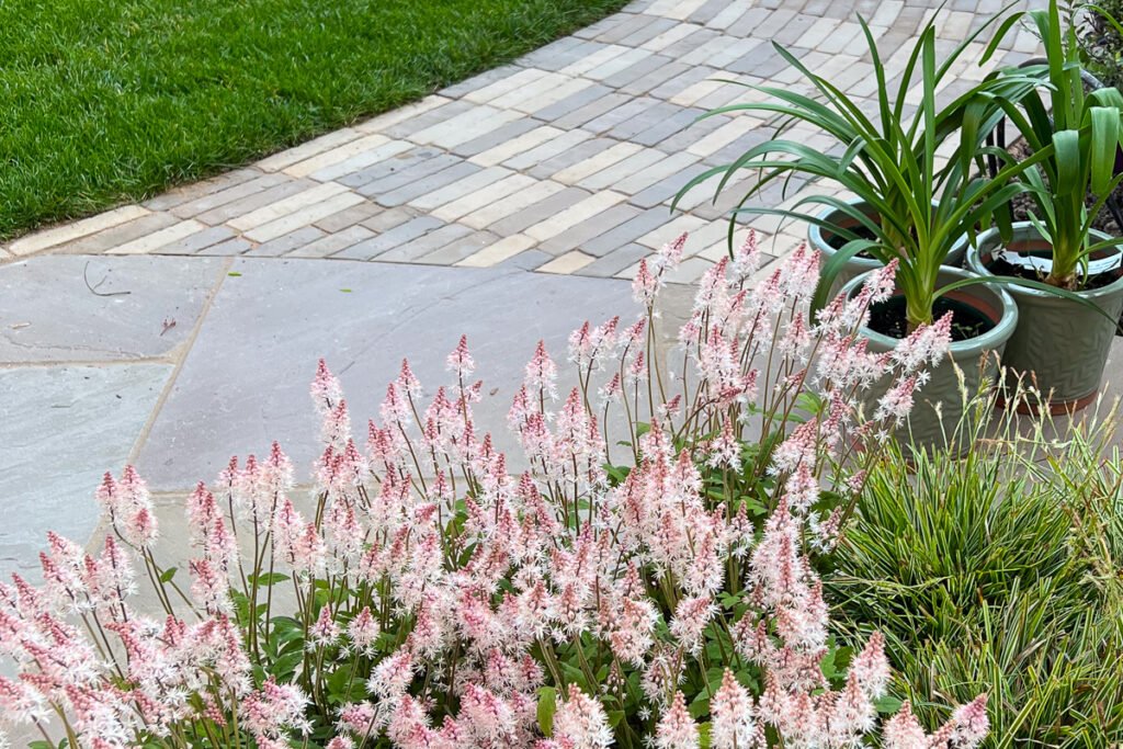 Small garden with cohesive colour palette of paving and planting for a spacious feel